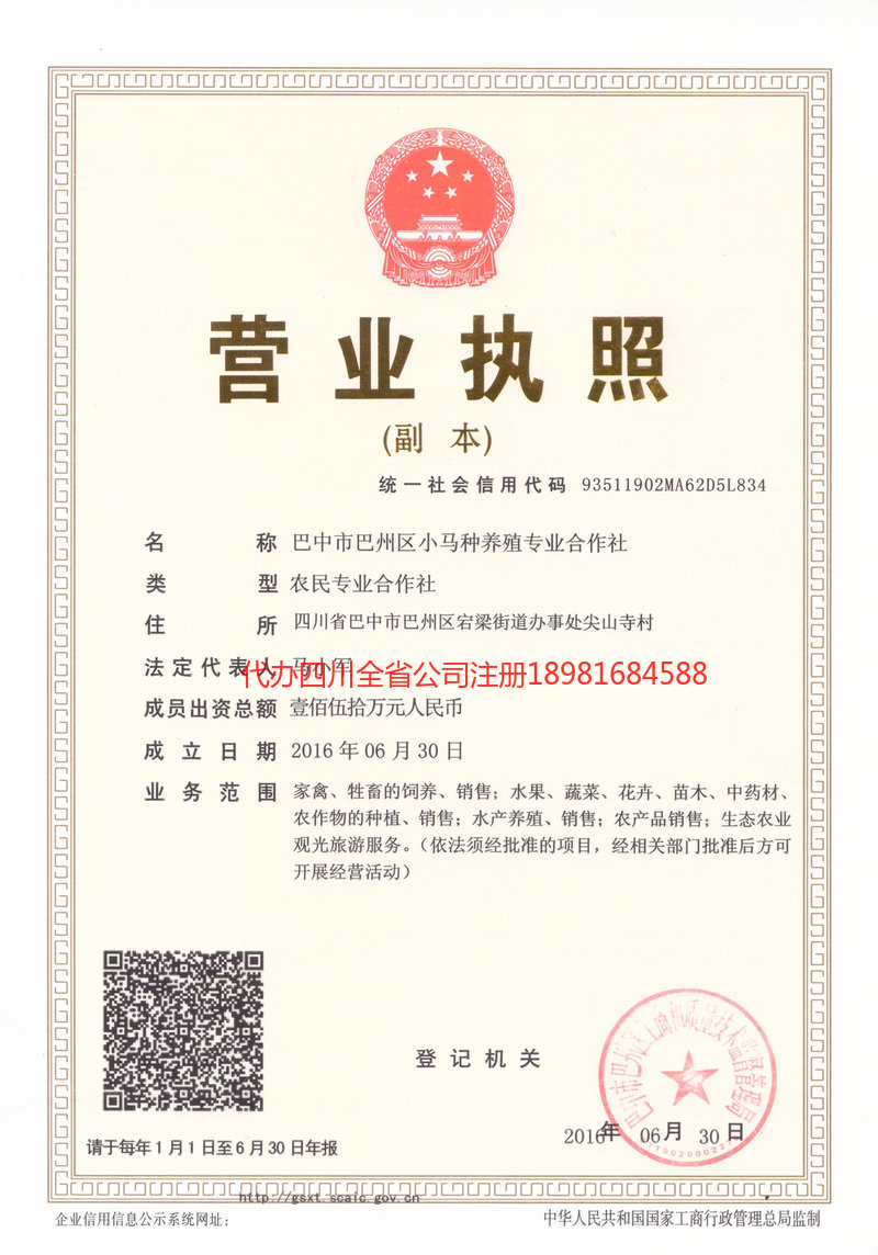 五指山五指山小马种养殖专业合作社